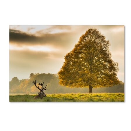 Trademark Fine Art Tudor Amot 'Appear' Canvas Art, 12x19 1X03768-C1219GG